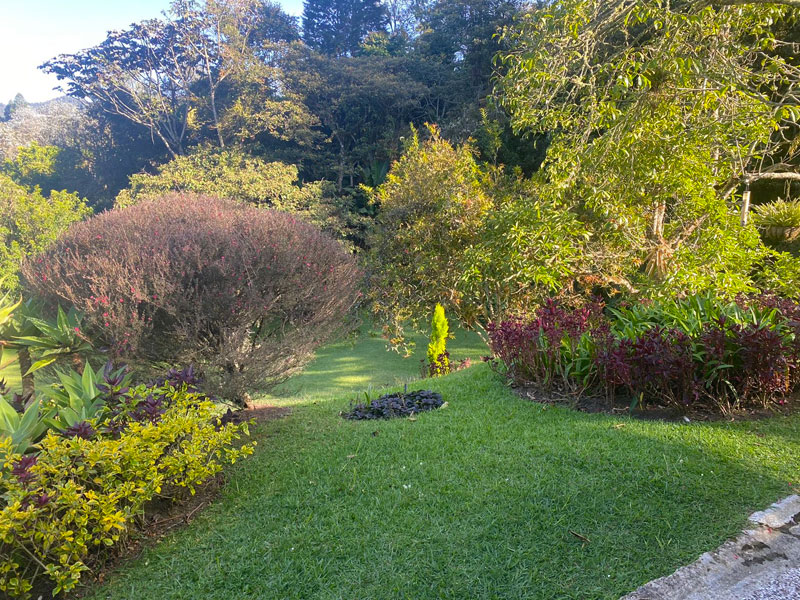 Finca en venta en el Retiro