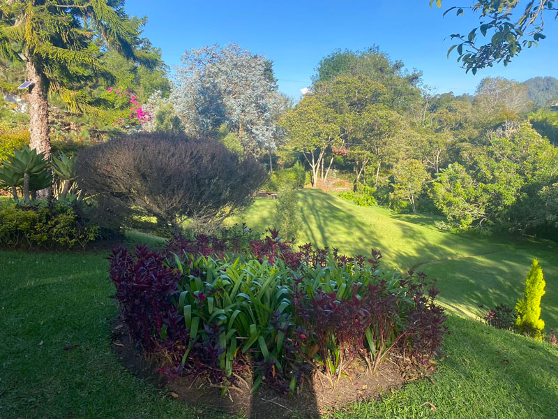 Finca en venta en el Retiro