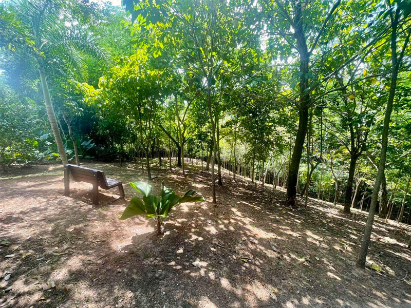 finca en Venta Doradal
