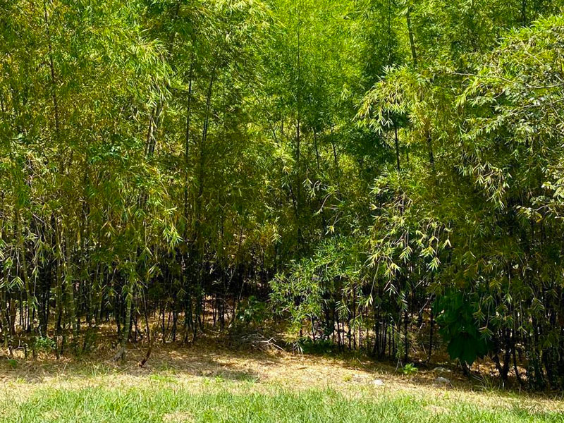 finca en Venta Doradal