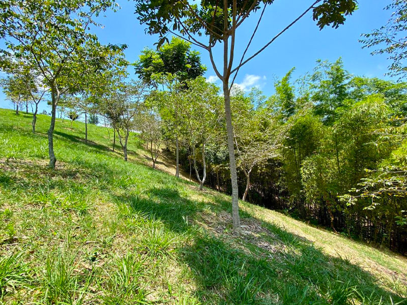 finca en Venta Doradal