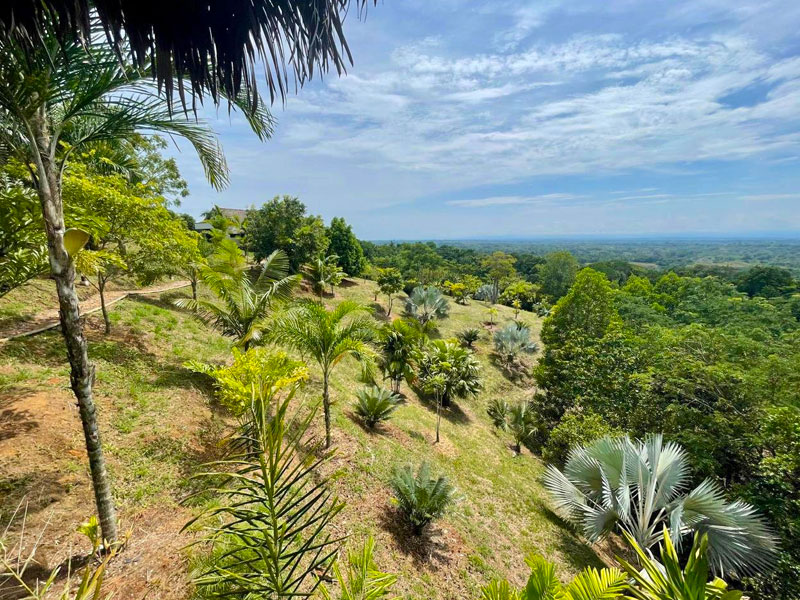 finca en Venta Doradal