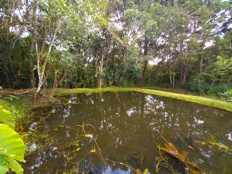 Finca en Venta en El Retiro