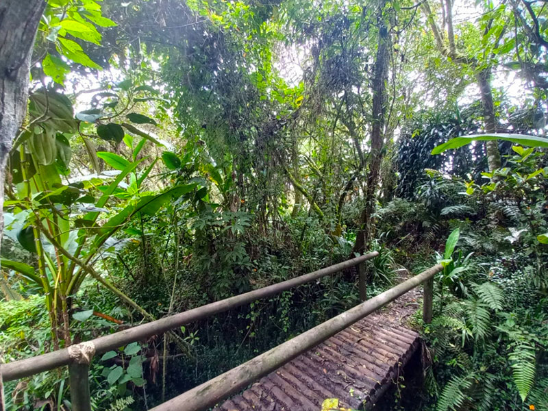 Finca en Venta en El Retiro