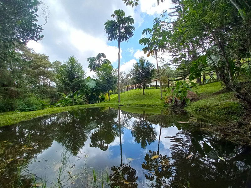 Finca en Venta en El Retiro