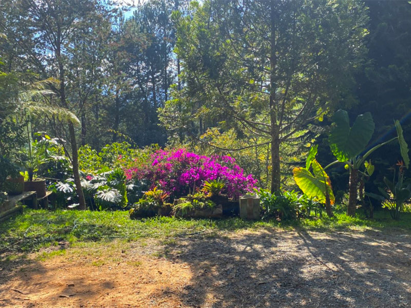 Finca en venta en el Retiro