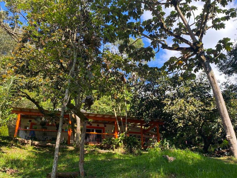 Finca en venta en el Retiro