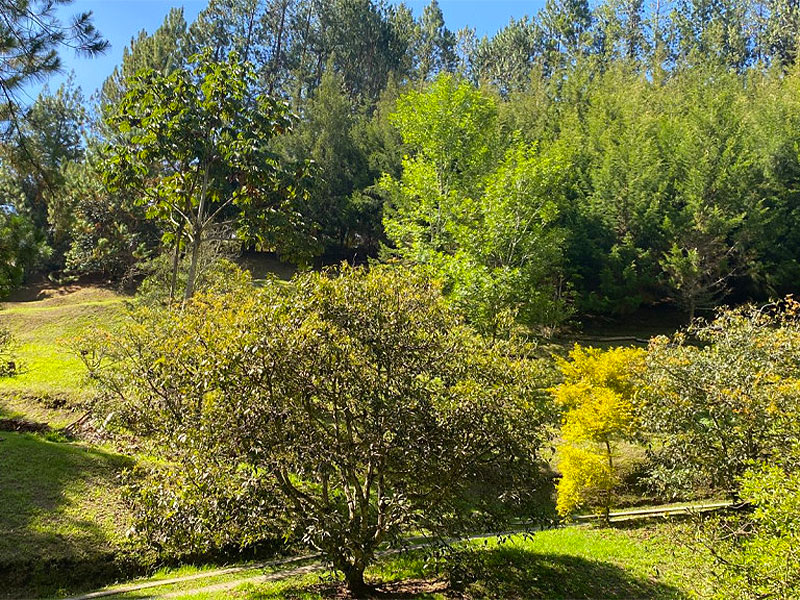 Finca en venta en el Retiro