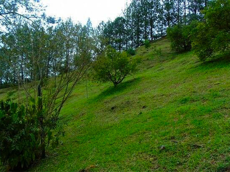 Finca en venta en el Retiro