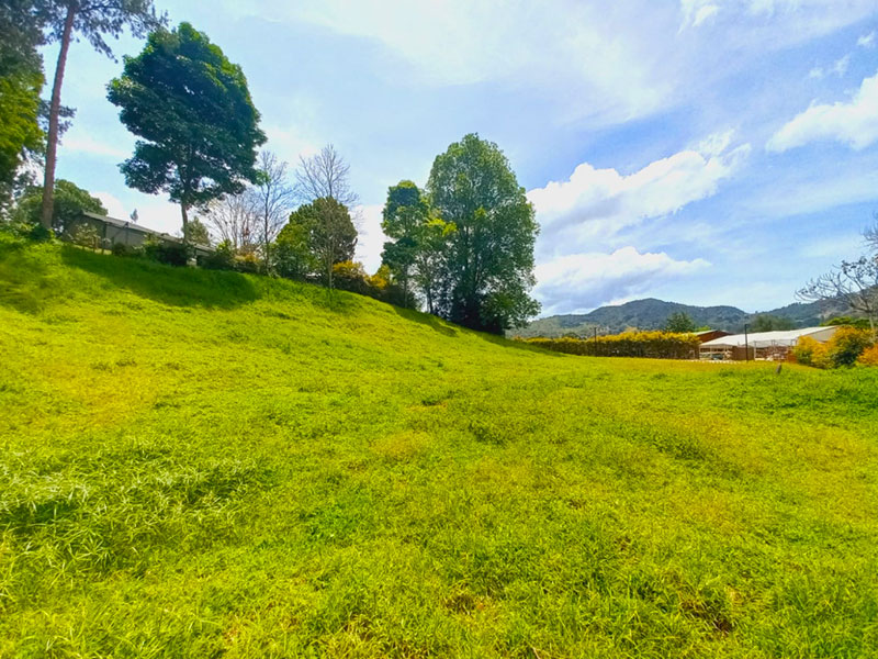 Lote en venta en El Retiro