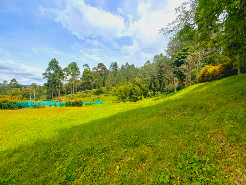 Lote en venta en El Retiro
