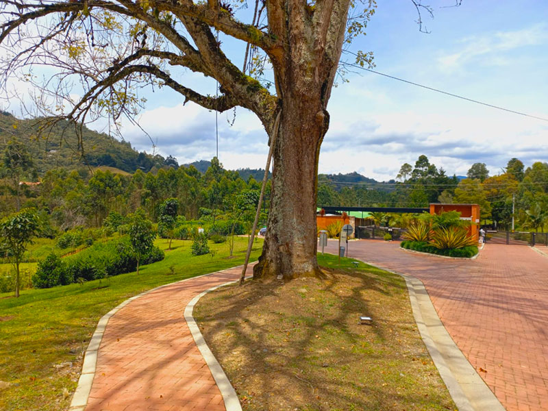 Lote en venta en El Retiro