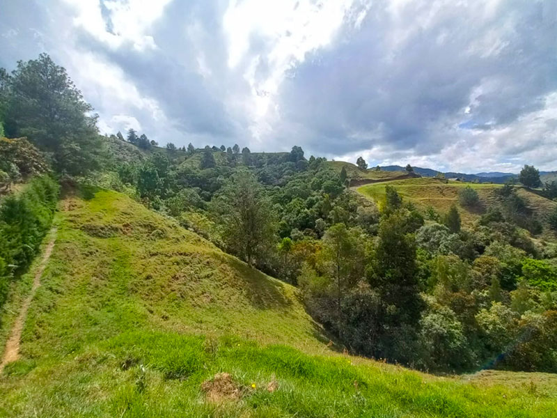Lote en venta en el Retiro Pantanillo