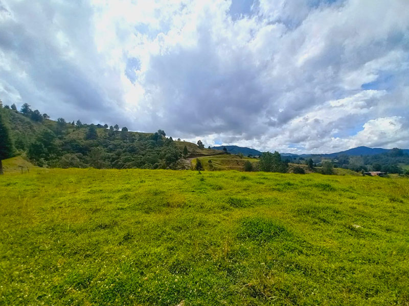 Lote en venta en el Retiro Pantanillo