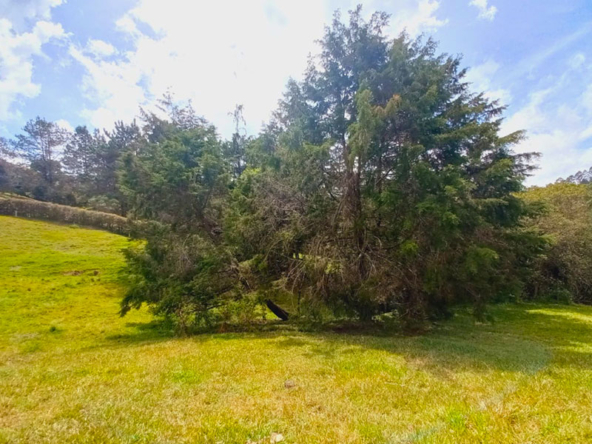 lote en venta en el Retiro Pantanillo
