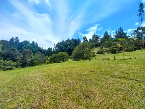 Lote en venta en El Retiro Pantanillo