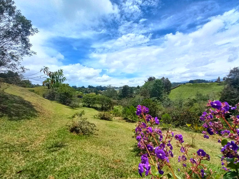 Lote en venta en El Retiro Pantanillo