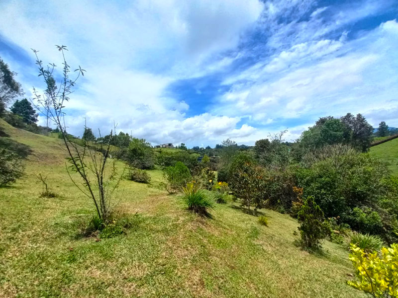 Lote en venta en El Retiro Pantanillo