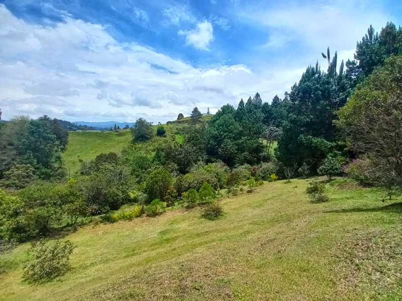 Lote en venta en El Retiro Pantanillo