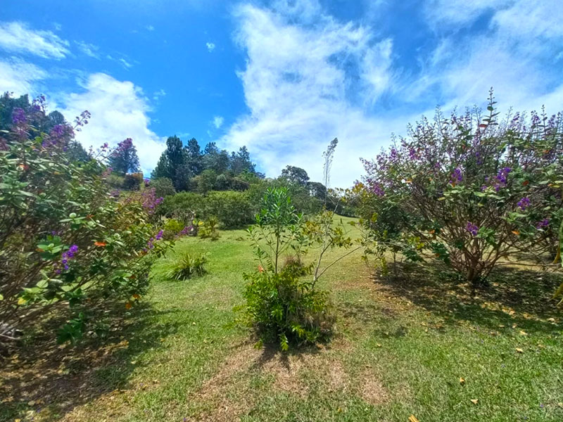Lote en venta en El Retiro Pantanillo