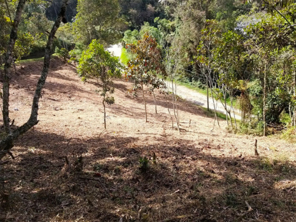 Lote en Parcelación El Retiro