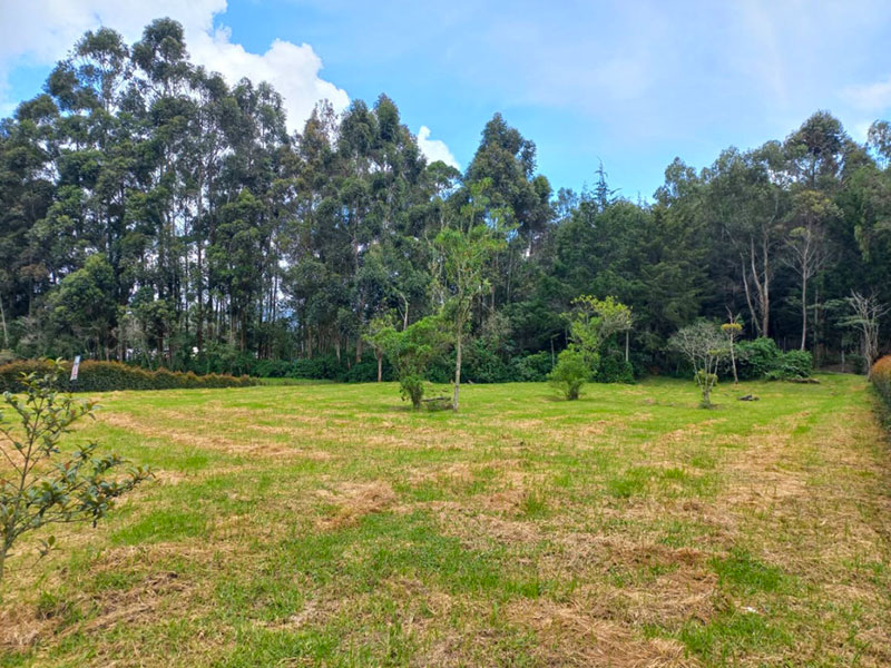 Lote en venta en la Ceja