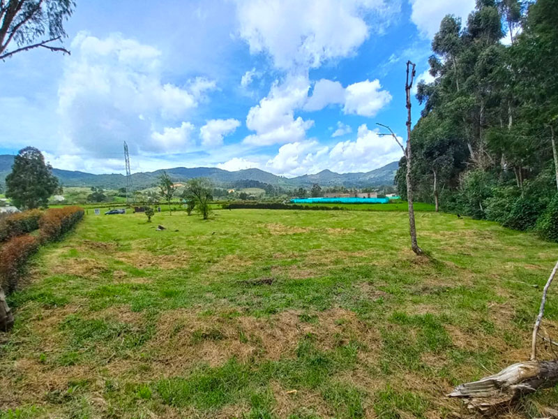 Lote en venta en la Ceja
