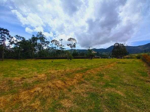 Lote en venta en la Ceja