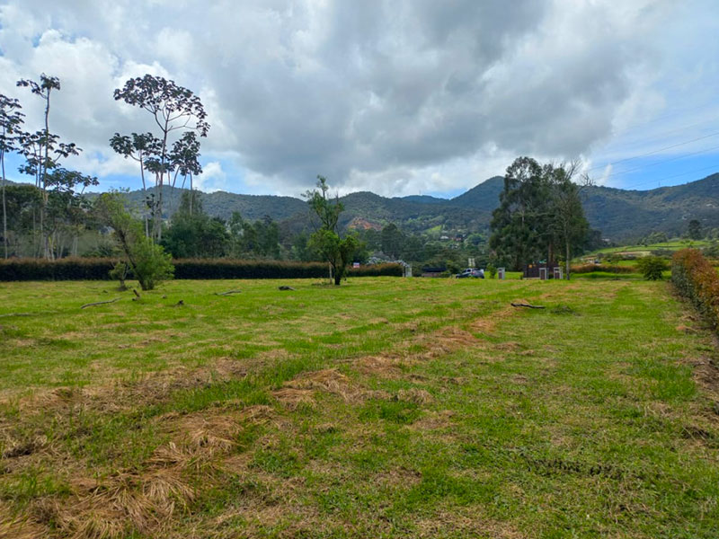 Lote en venta en la Ceja