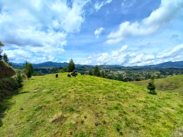 Lote en Venta en El Retiro Pantanillo