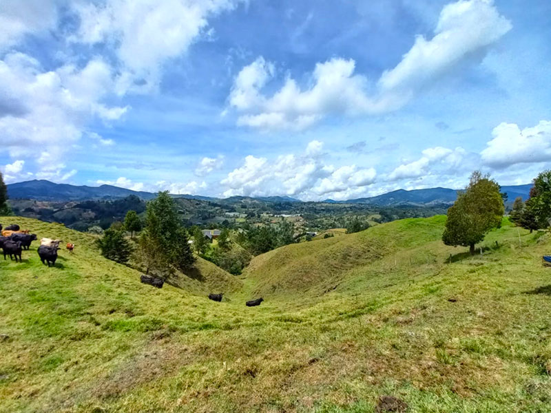 Lote en Venta en El Retiro Pantanillo