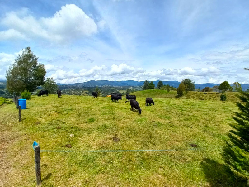 Lote en Venta en El Retiro Pantanillo