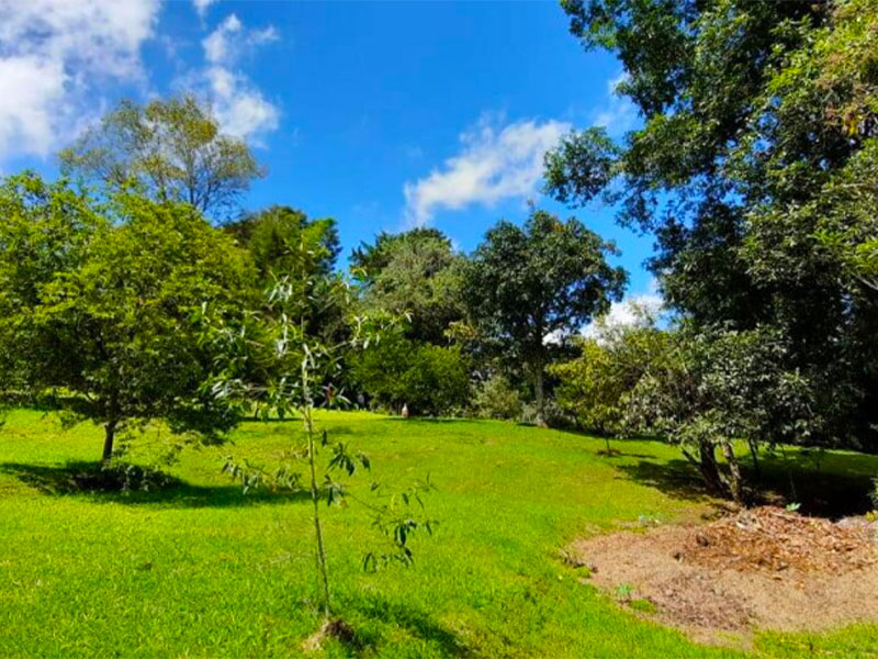 Lote en venta en El Retiro
