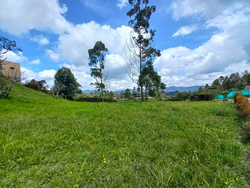 Lote en venta en la Ceja