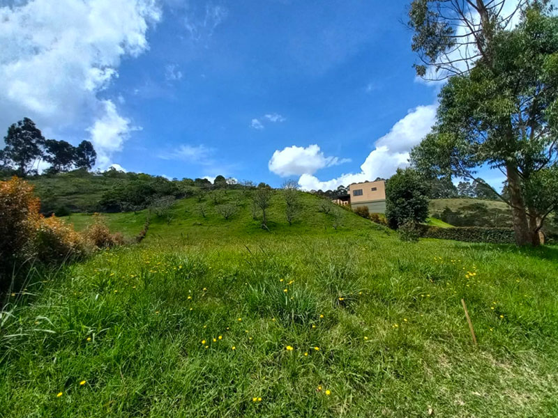 Lote en venta en la Ceja