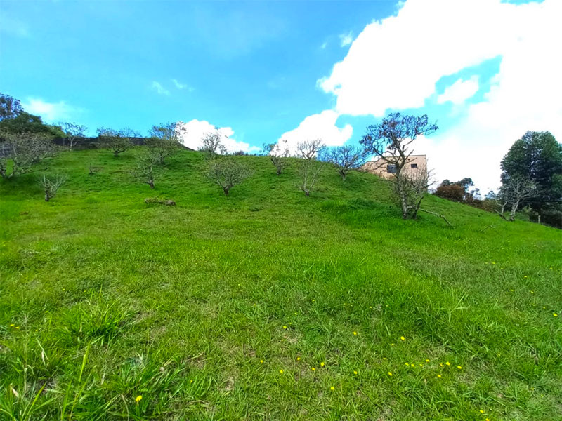 Lote en venta en la Ceja