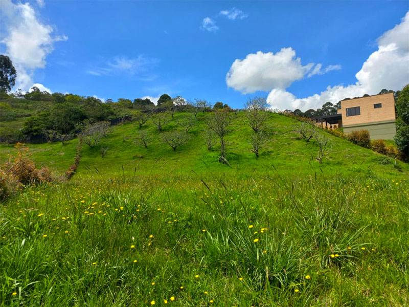 Lote en venta en la Ceja