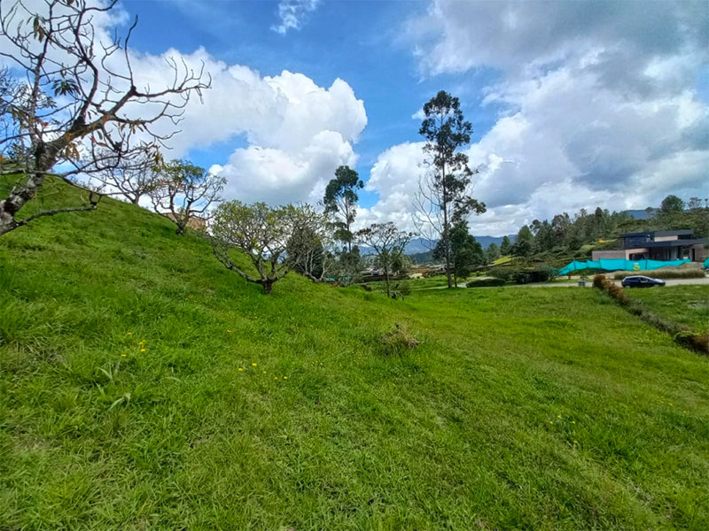 Lote en venta en la Ceja