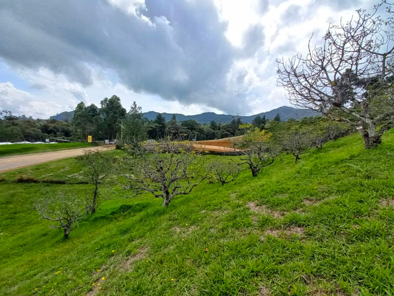Lote en venta en la Ceja