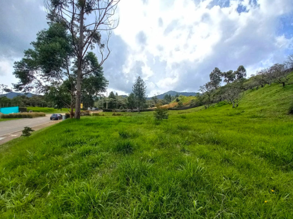 Lote en venta en la Ceja