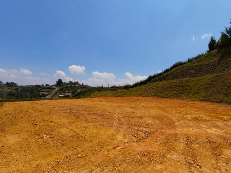 Lotes en venta en el Carmen de Viboral
