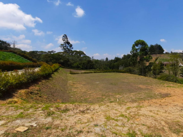 Lotes en venta en el Carmen de Viboral