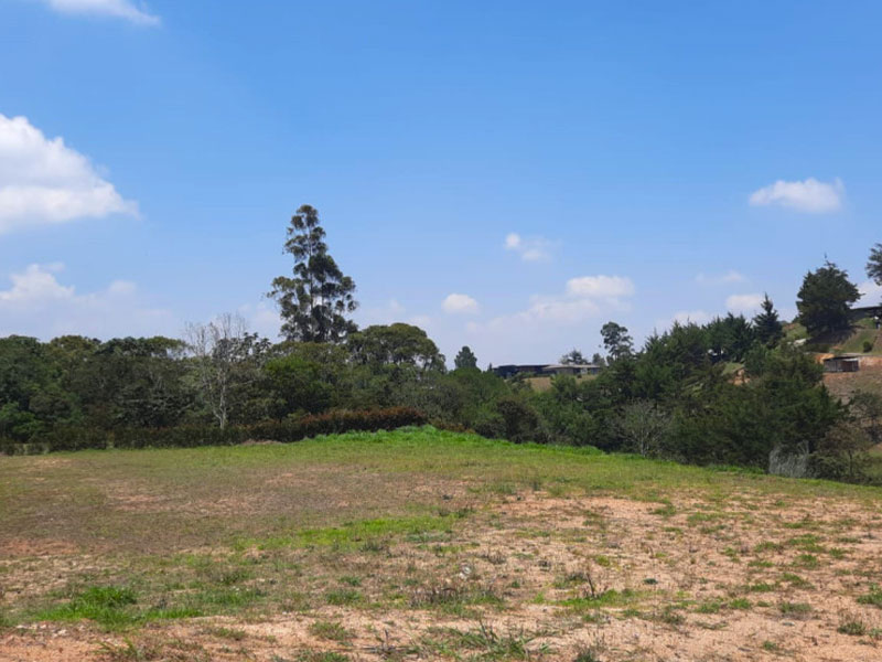 Lotes en venta en el Carmen de Viboral
