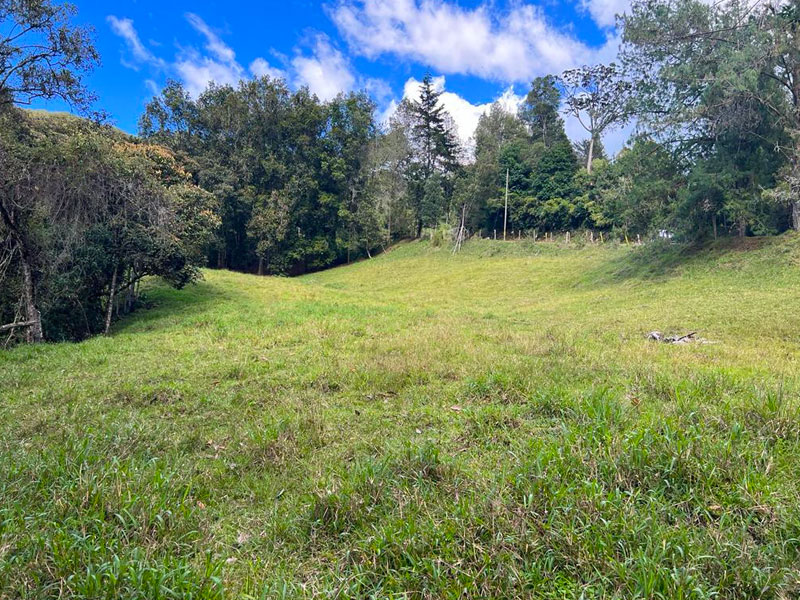 Lote en venta en Fizebad en el Retiro