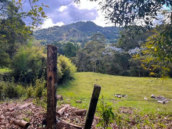 Lote en venta en Fizebad en el Retiro