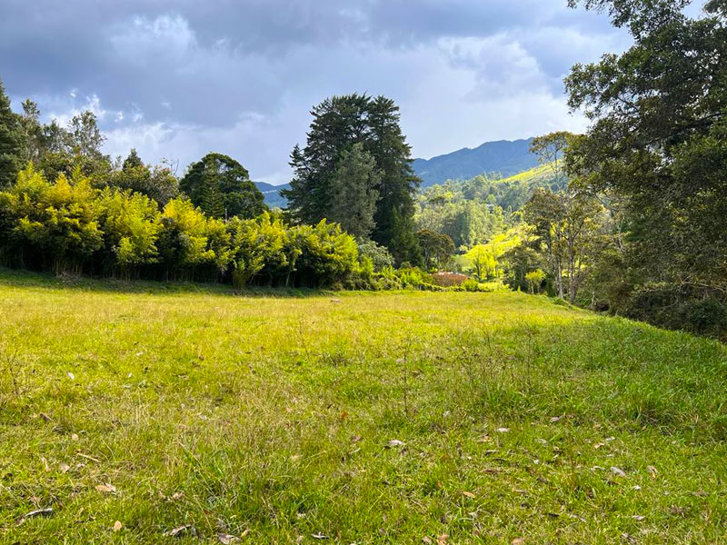 Lote en venta en Fizebad en el Retiro
